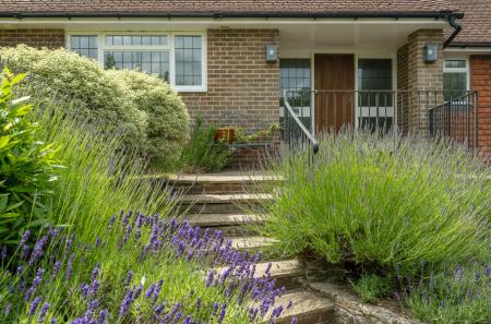 1315835-3-685d453...