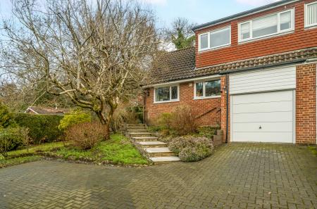 1389051-2-696a4d8...