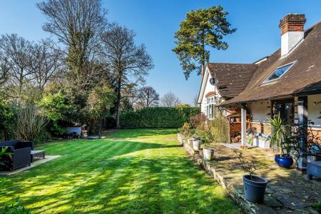 Spacious Garden