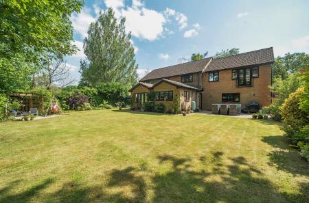 1305417-6-684c399...