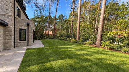 Plot 8 Garden