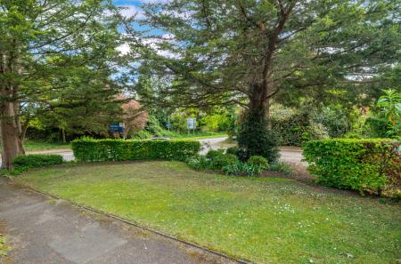 Communal Gardens