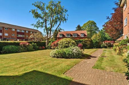Communal Gardens