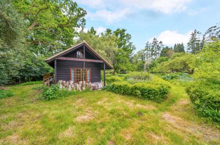 1295112-52-682641...