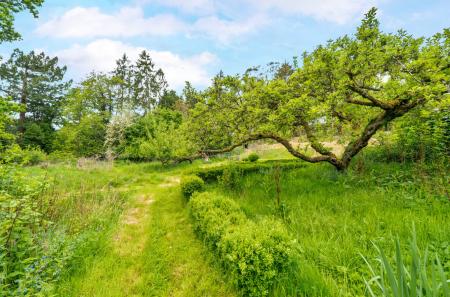 1295112-54-682641...