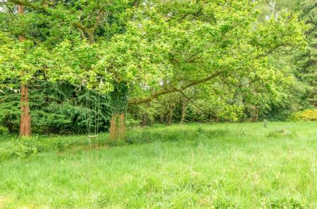 1295112-57-682641...