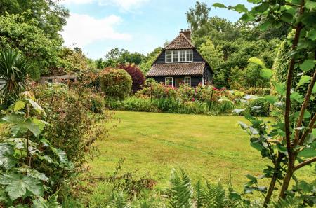 1307144-3-684ac1e...