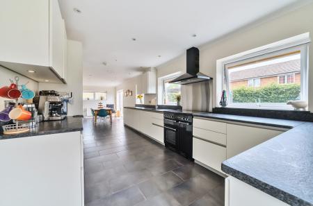 1313556-17-685c3d...