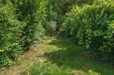 1329421-9-68875d9...