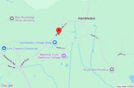 Google Maps Image