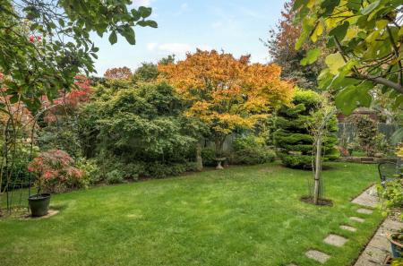 1369036-5-68f20f0...