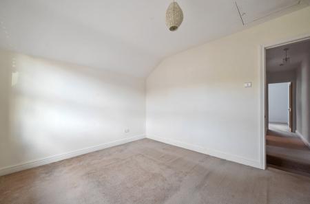 1365466-36-6900e9...