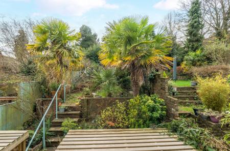 1385133-8-6925baa...