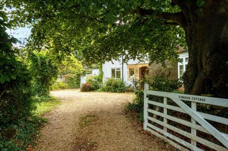 1347766-3-68d2a2f...