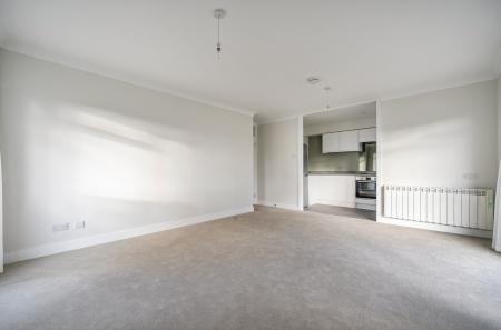 1420520-10-699dd2...