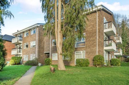 1420520-3-699dd13...