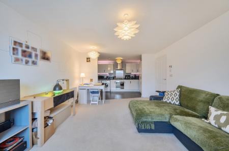 1420565-20-69a16d...