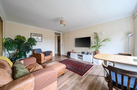 1420538-7-69a1a5e...