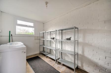 1429362-11-69b7fa...