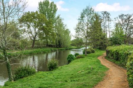 1446034-9-69e7401...