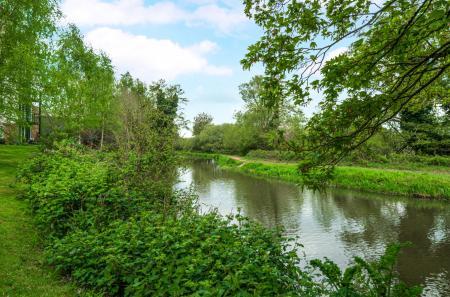 1446034-16-69e740...