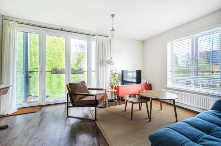 1446034-41-69e742...