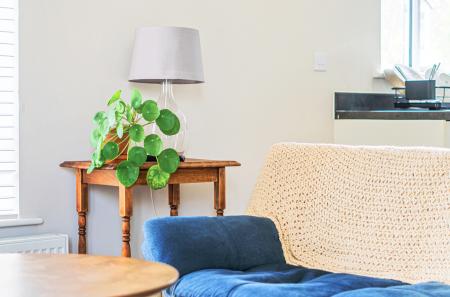 1446034-20-69e741...