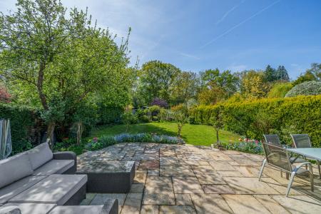 Picture No. 13