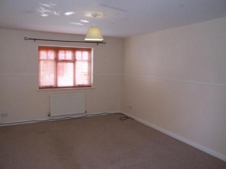 Photo3