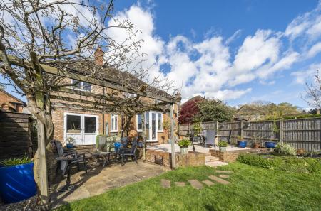 Pagola With Wisteria