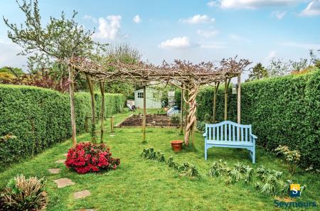 Vegetable Patch