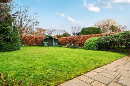 Lawn