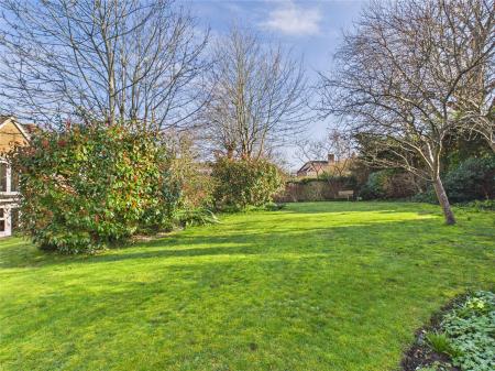 Communal Garden
