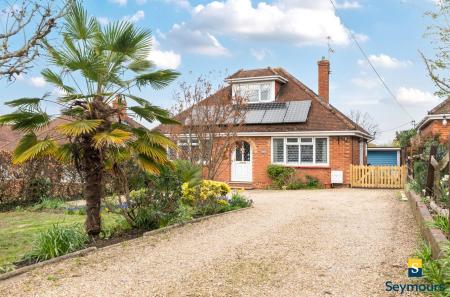 Driveway & Garage