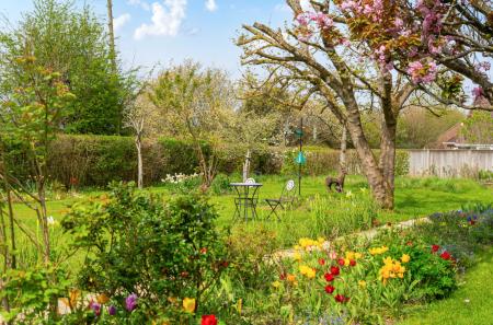Mature Garden