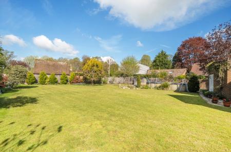 Lawn