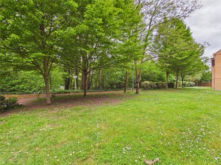 Communal Garden