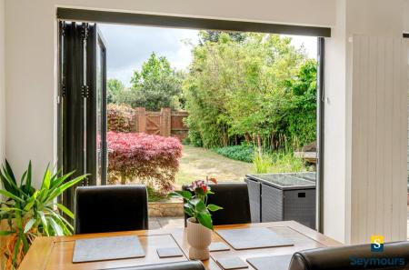View To Garden