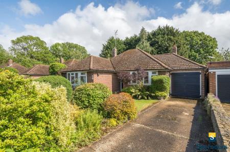Driveway & Garage