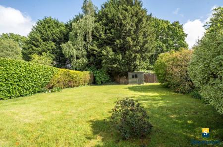 Lawn