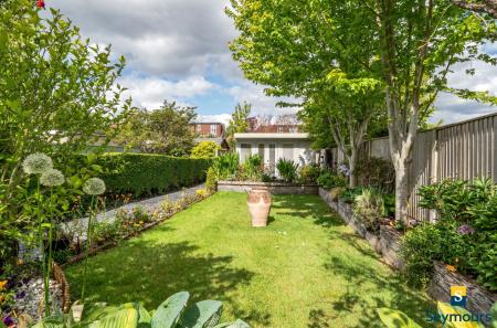 Lawn