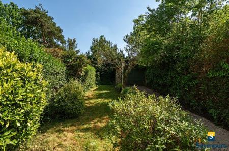 Lawn