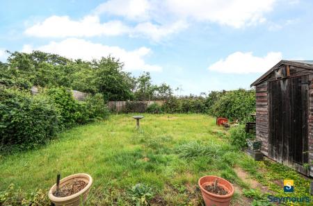 Lawn