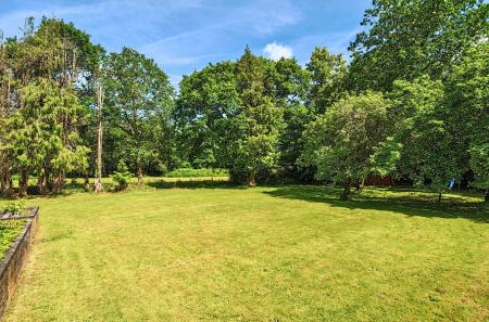 Lawn