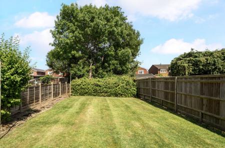 Lawn