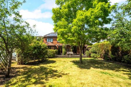 Rear Aspect
