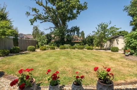 Lawn
