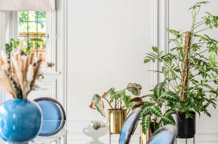 1314396-34-685696...