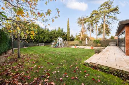 1384932-8-6929c9f...