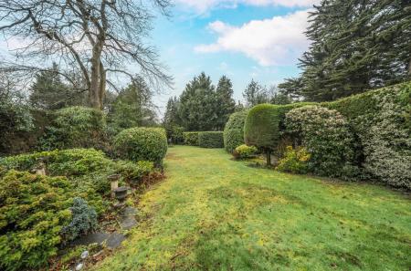 1419073-5-69970ef...